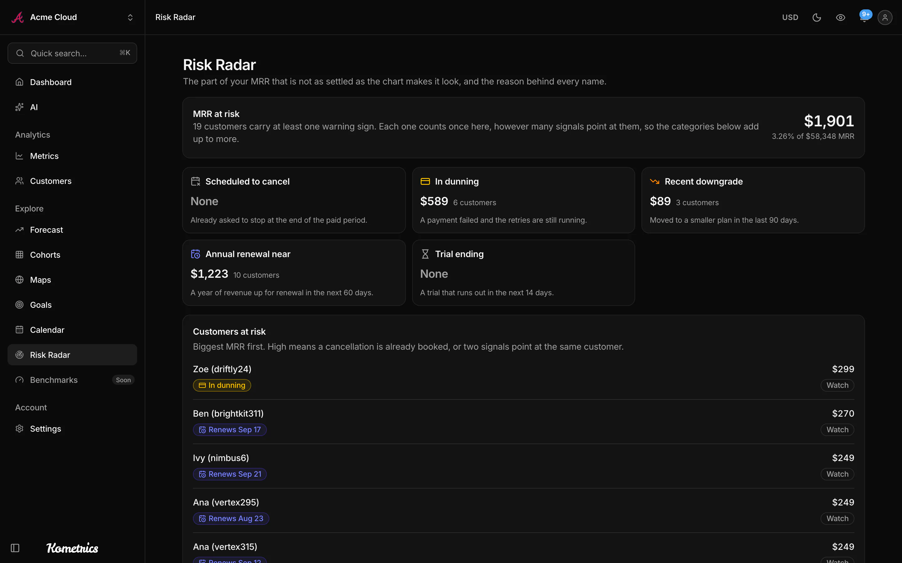 Risk radar listing the customers whose recurring revenue is most at risk